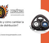 ¿Cuándo y cómo cambiar la correa de distribución?